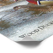 Hout Eenden op de Muskegon Poster (Hoek)