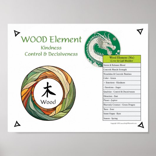 Hout Element Acupunctuur Poster (Voorkant)