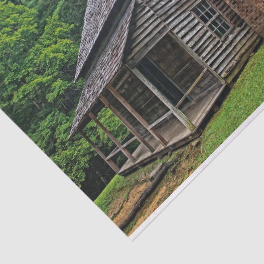 Hout- en brakcabine in een zomerbos tissuepapier (Detail)