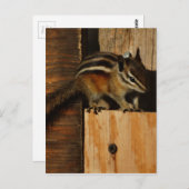 hout en spaanders briefkaart (Voorkant / Achterkant)