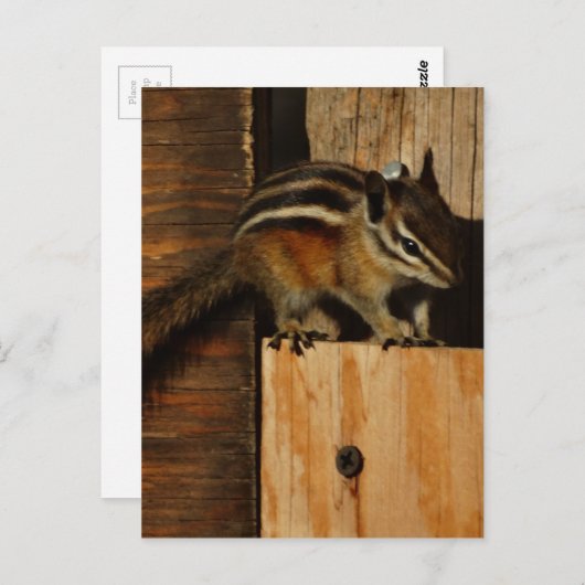 hout en spaanders briefkaart (Voorkant / Achterkant)