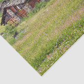 Hout en steenkool gesmokkeld in een grasveld tissuepapier (Detail)