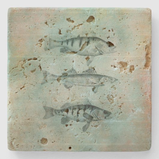 Hout, getextureerd visdesign stenen onderzetter (Voorkant)