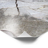 Hout Grain Grey Pine Tree Stump Foto Art 2 Afdruk (Hoek)