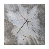 Hout Grain Grey Pine Tree Stump Foto Art 2 Tegeltje (Voorkant)