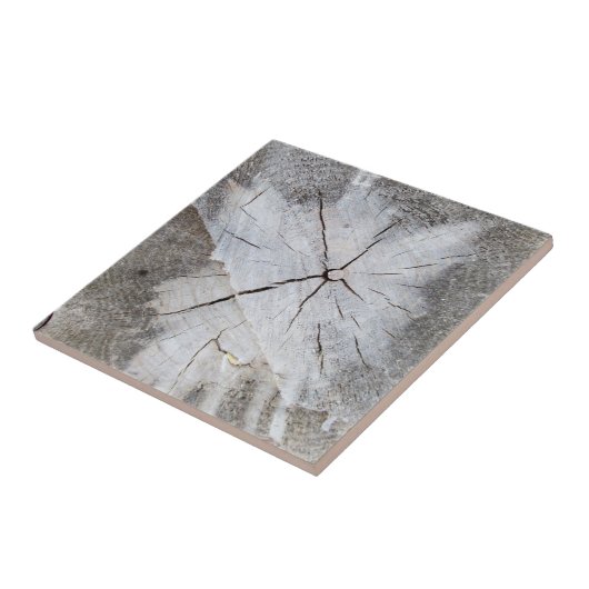 Hout Grain Grey Pine Tree Stump Foto Art 2 Tegeltje (Zijkant)