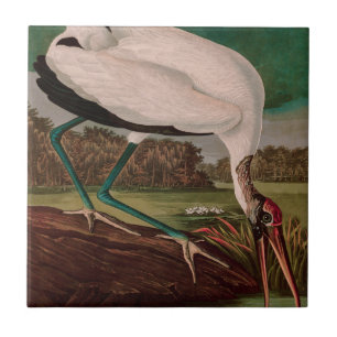Hout Ibis Birds of America Audubon Print Tegeltje