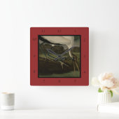 Hout Ibiss (Ibis, Stork): Zuidelijke vogels in Ame Vierkante Klok (Huis)