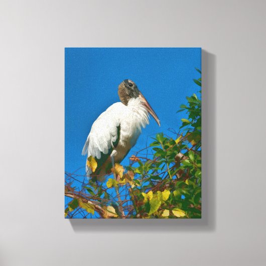 Hout Ooievaar in een Boom Canvas Afdruk (Voorkant)