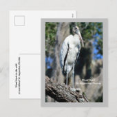 Hout Ooievaar in het wild Feestdagenkaart (Voorkant / Achterkant)