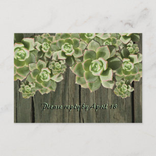 hout Soft Succulents rsvp