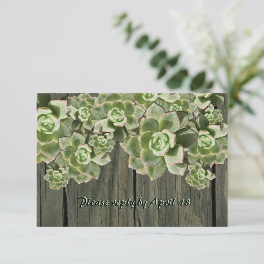  hout Soft Succulents rsvp (Staand voorkant)