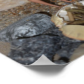 Hout sprokkelen voor het vuur. poster (Hoek)