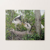 Hout Stork Chicken - Nest - Playin - Bird - Puzzle Legpuzzel (Horizontaal)