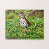 Hout Thrush Bird Puzzle Legpuzzel (Horizontaal)