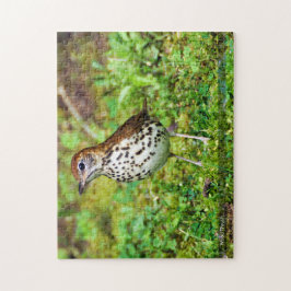 Hout Thrush Bird Puzzle Legpuzzel