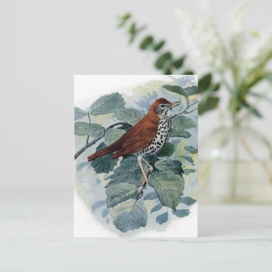 Hout Thrush op een Twig Briefkaart (Staand voorkant)