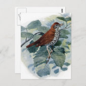 Hout Thrush op een Twig Briefkaart (Voorkant / Achterkant)