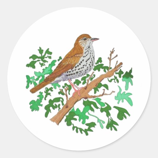 Hout Thrush Songbird, een bruine vogel met spuwen Ronde Sticker (Voorkant)