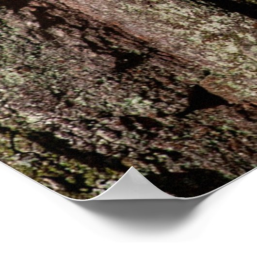 Hout van eikenhout poster (Hoek)