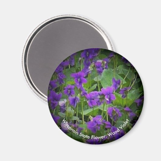 Hout Violet Spotlight Wisconsin State Bloemenronde Magneet (Voorkant / Achterkant)