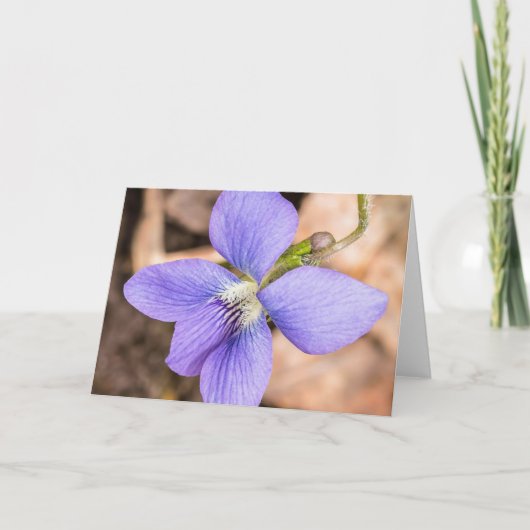 Hout Violet Wildflower Notecard Kaart (Voorkant)