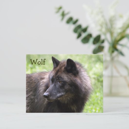 Hout Wolf Grey Wolf Wild Animal Briefkaarten (Staand voorkant)