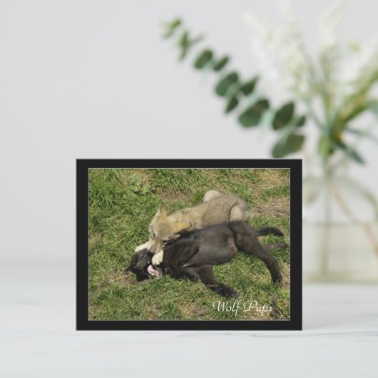 Hout Wolf Pups Wilde Dieren Briefkaarten (Staand voorkant)