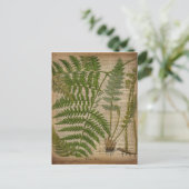 houtbladeren van de franse botanische drukkerij briefkaart (Staand voorkant)