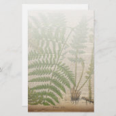 houtbladeren van de franse botanische drukkerij briefpapier (Voorkant / Achterkant)