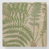 houtbladeren van de franse botanische drukkerij stenen onderzetter (Voorkant)