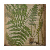 houtbladeren van de franse botanische drukkerij tegeltje (Voorkant)