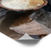 houtboomstammen originele natuur foto poster (Hoek)