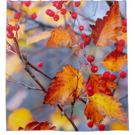 Houtdoornbessen in het najaar douchegordijn