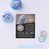 Houtduif, Adverteren voor de bestrijding van plage Flyer (Enkel)