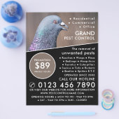 Houtduif, Adverteren voor de bestrijding van plage Flyer (Enkel)