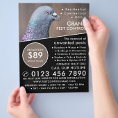 Houtduif, Adverteren voor de bestrijding van plage Flyer (Hand)