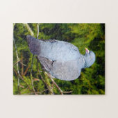 Houtduif Bird Puzzle Legpuzzel (Horizontaal)
