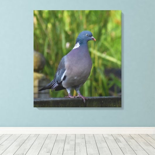 Houtduif Canvas Afdruk (Insitu (Houten vloer))