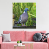 Houtduif Canvas Afdruk (Insitu (Woonkamer))