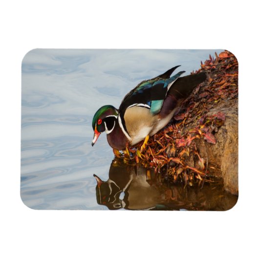 Houteend aan de wal magneet (Horizontaal)