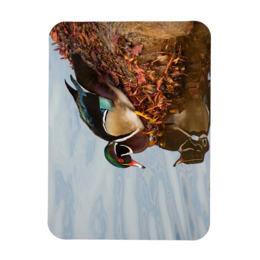 Houteend aan de wal magneet (Verticaal)