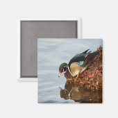 Houteend aan de wal magneet (Voorkant / Achterkant)