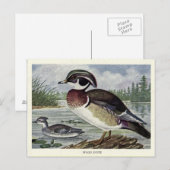 houteend briefkaart (Voorkant / Achterkant)