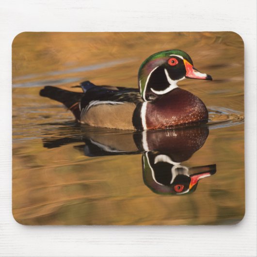 Houteend op het Golden-meer Muismat (Voorkant)