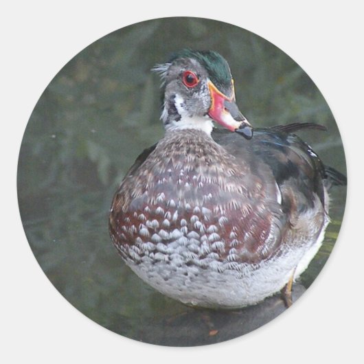 Houteend Ronde Sticker (Voorkant)