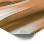 Houteenden zwemmen in water poster (Hoek)