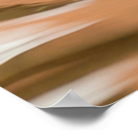 Houteenden zwemmen in water poster (Hoek)