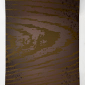 Houten achtergrond met mechanische zeepaard drieluik programma (Binnenkant midden)