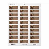 houten achtergrond met pijnbomen etiket (Full Sheet)